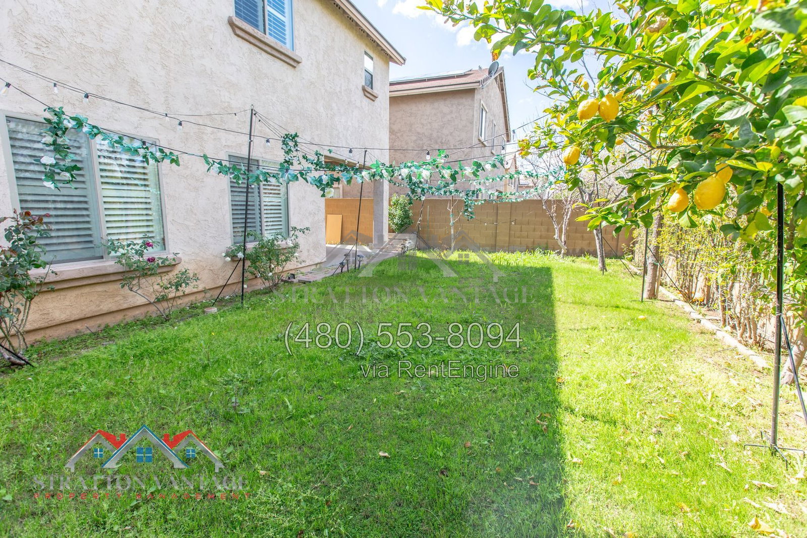 Gallery Image 54