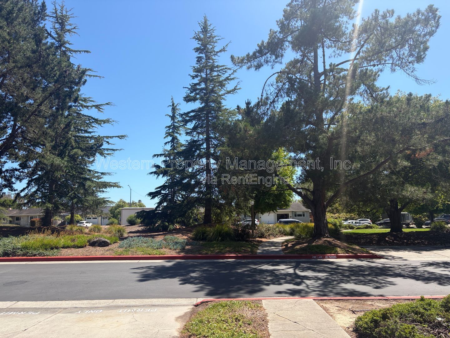Gallery Image 21