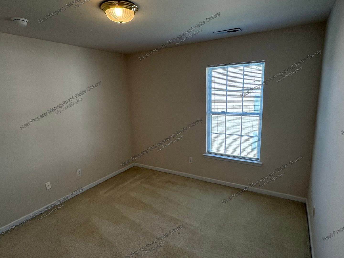 Gallery Image 35
