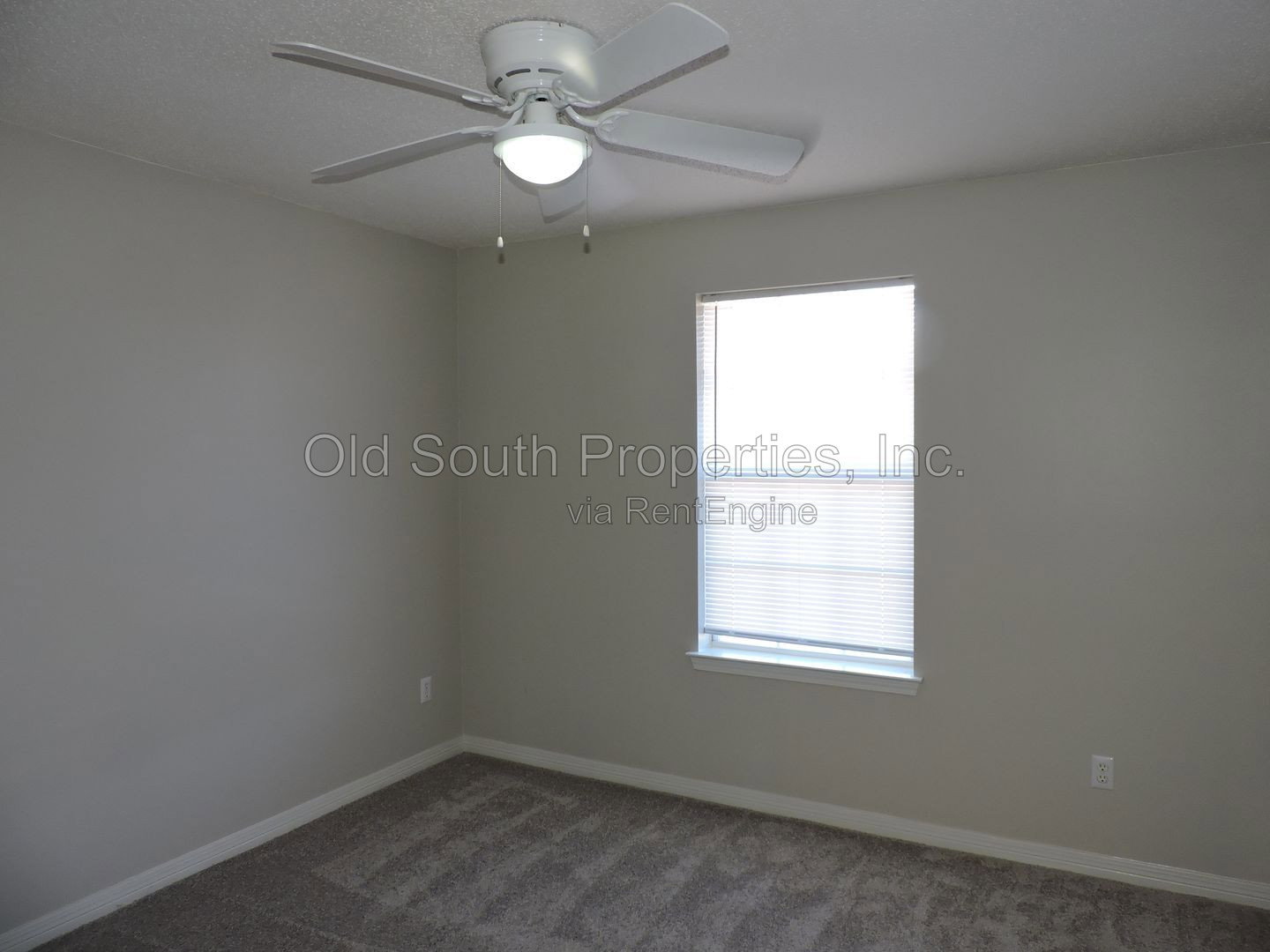 Gallery Image 20