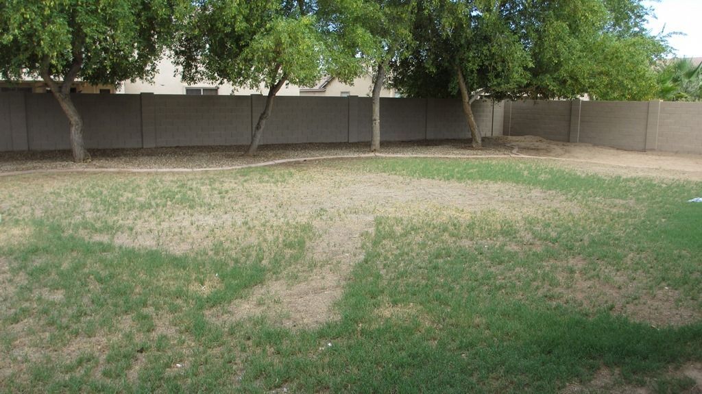 Gallery Image 22