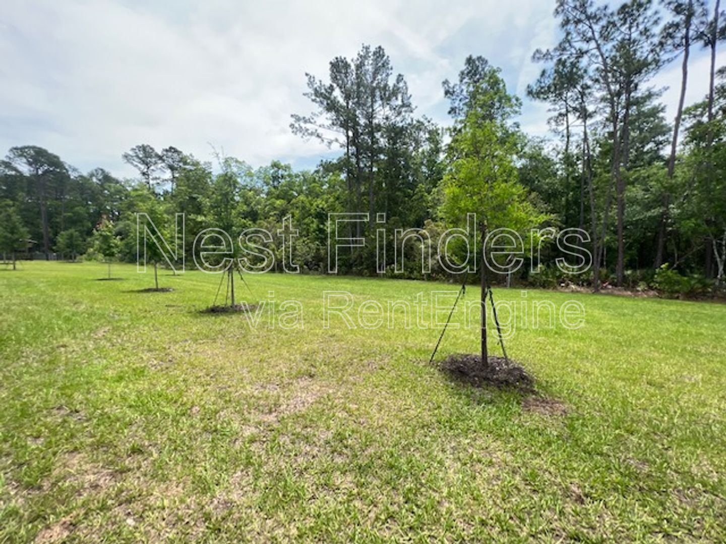 Gallery Image 25