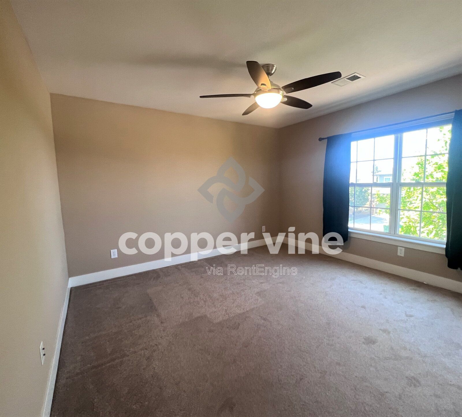 Gallery Image 20