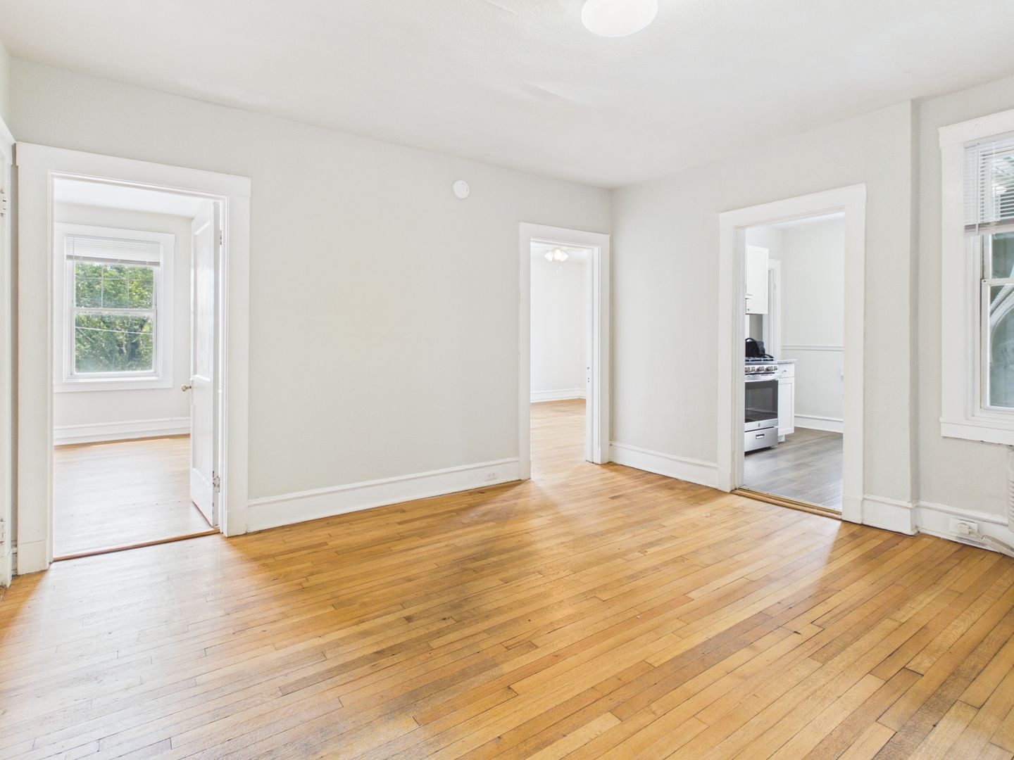 Gallery Image 8