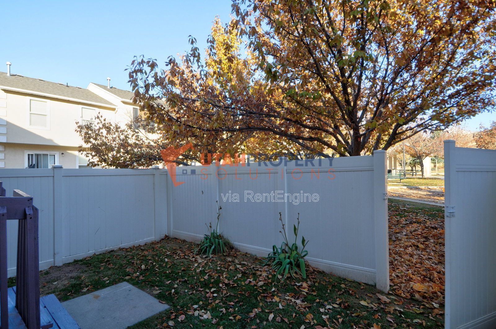 Gallery Image 29