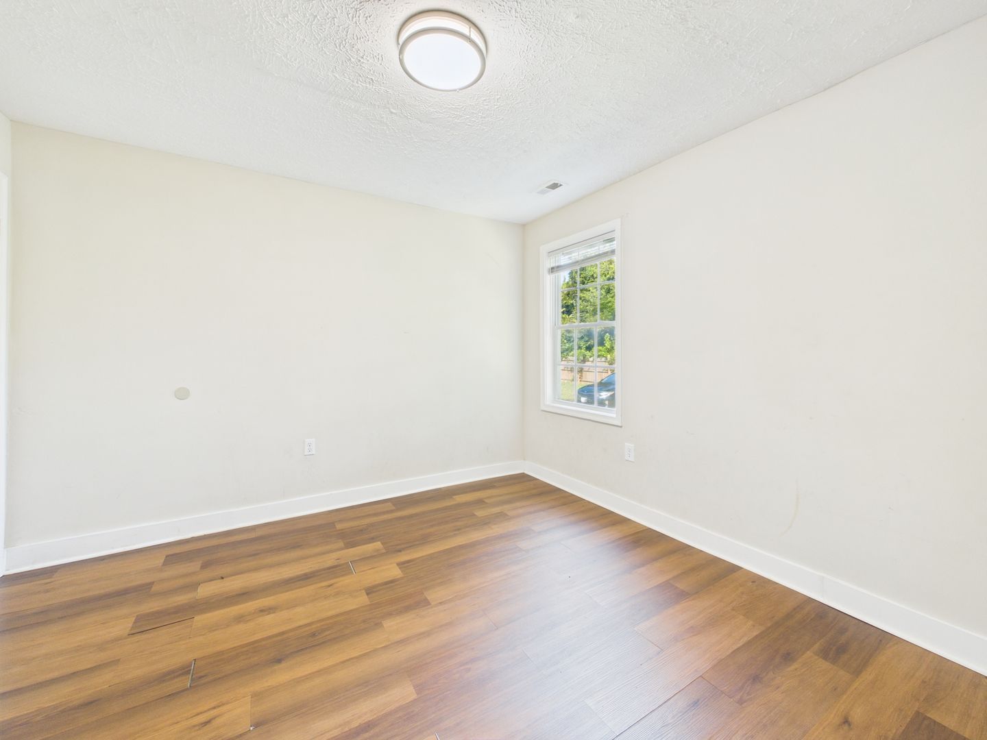 Gallery Image 19