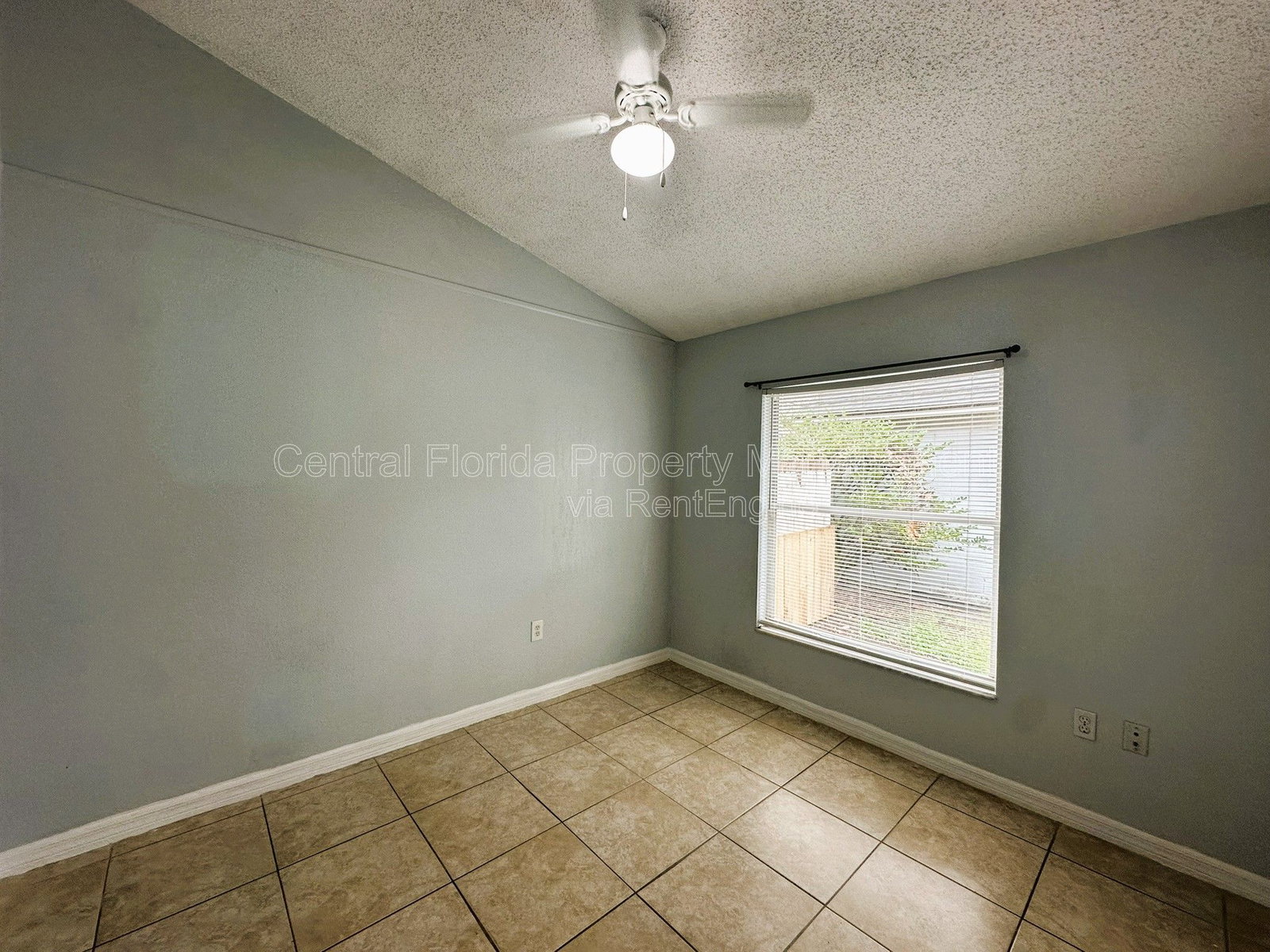 Gallery Image 19