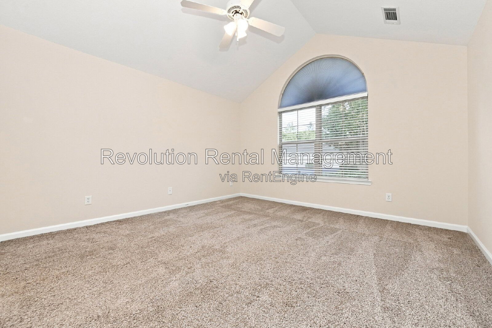 Gallery Image 19