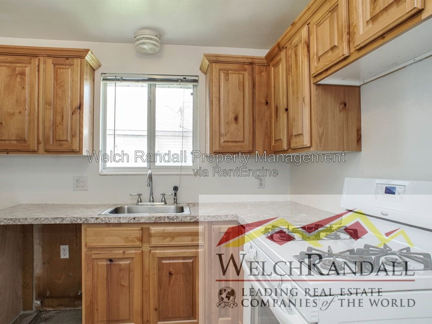 Gallery Image 11