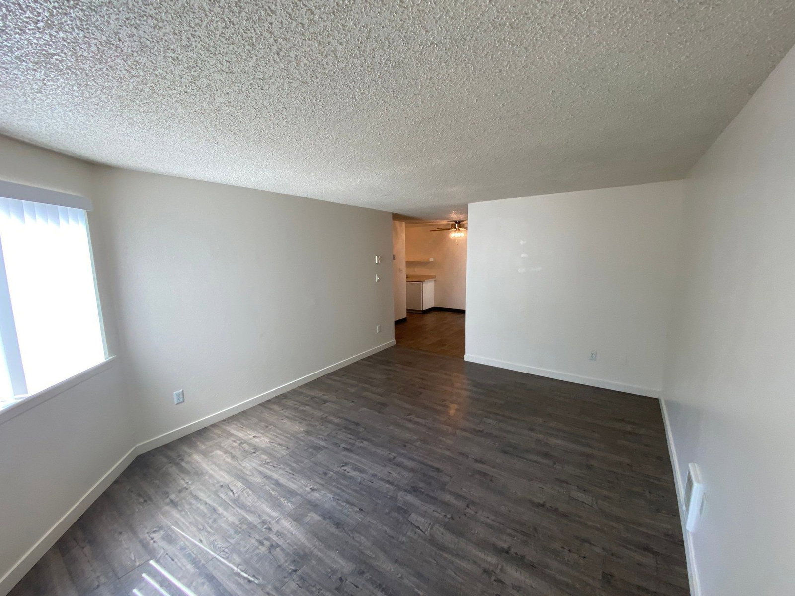 Gallery Image 19