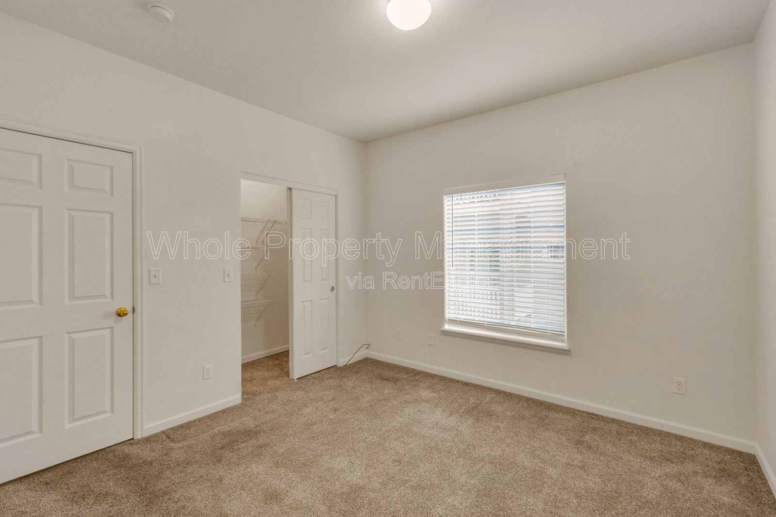 Gallery Image 22