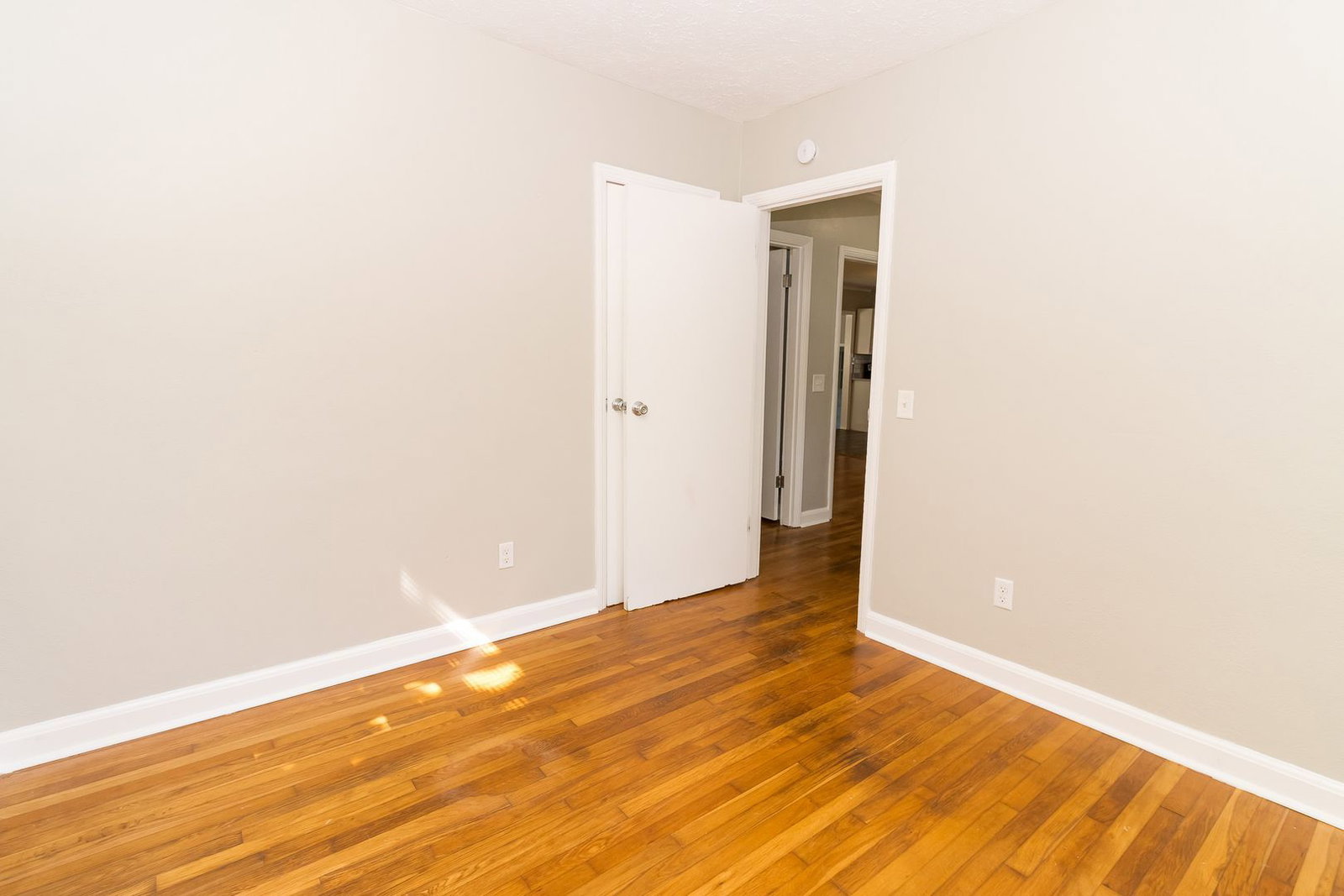 Gallery Image 17