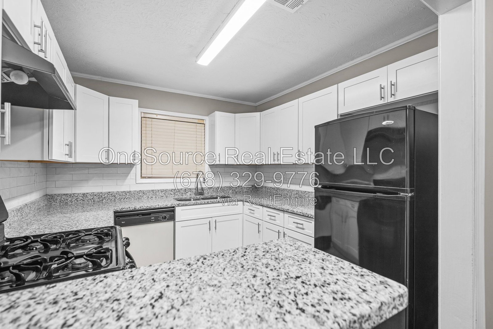 Gallery Image 17