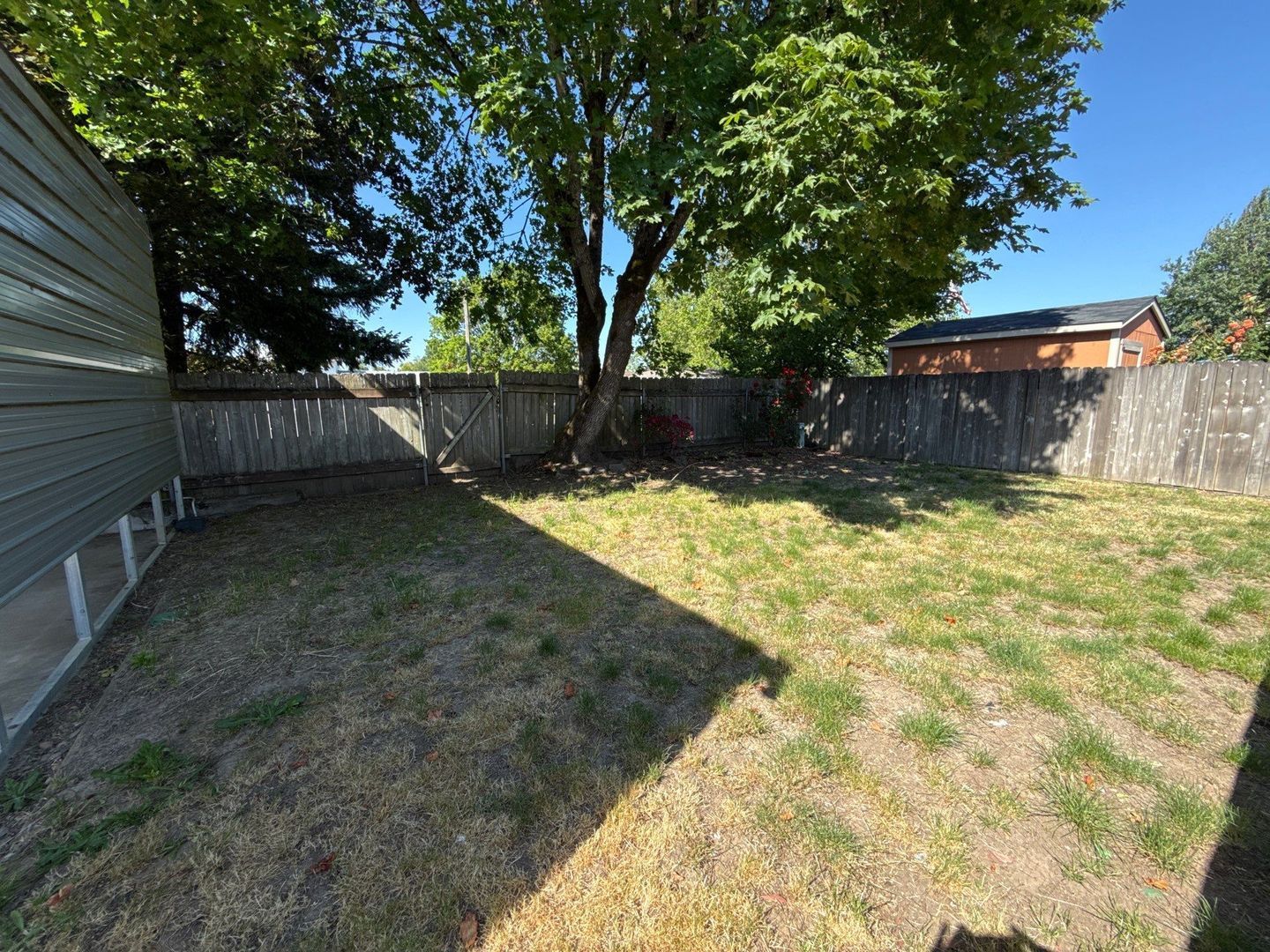 Gallery Image 38