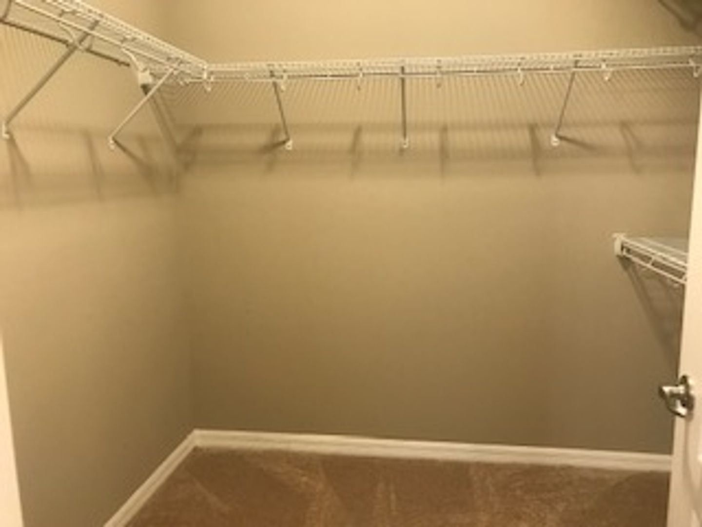 Gallery Image 32