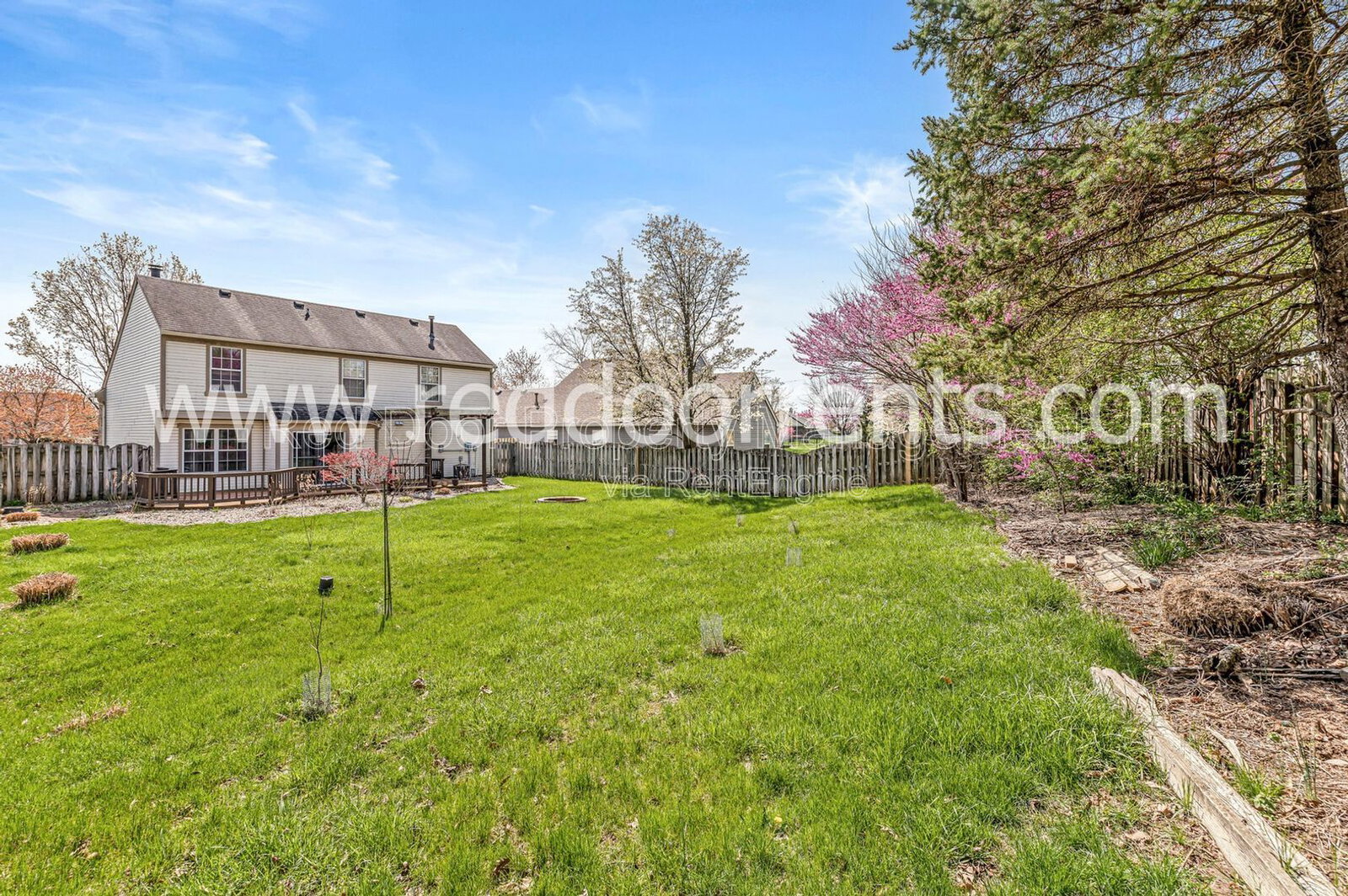 Gallery Image 25