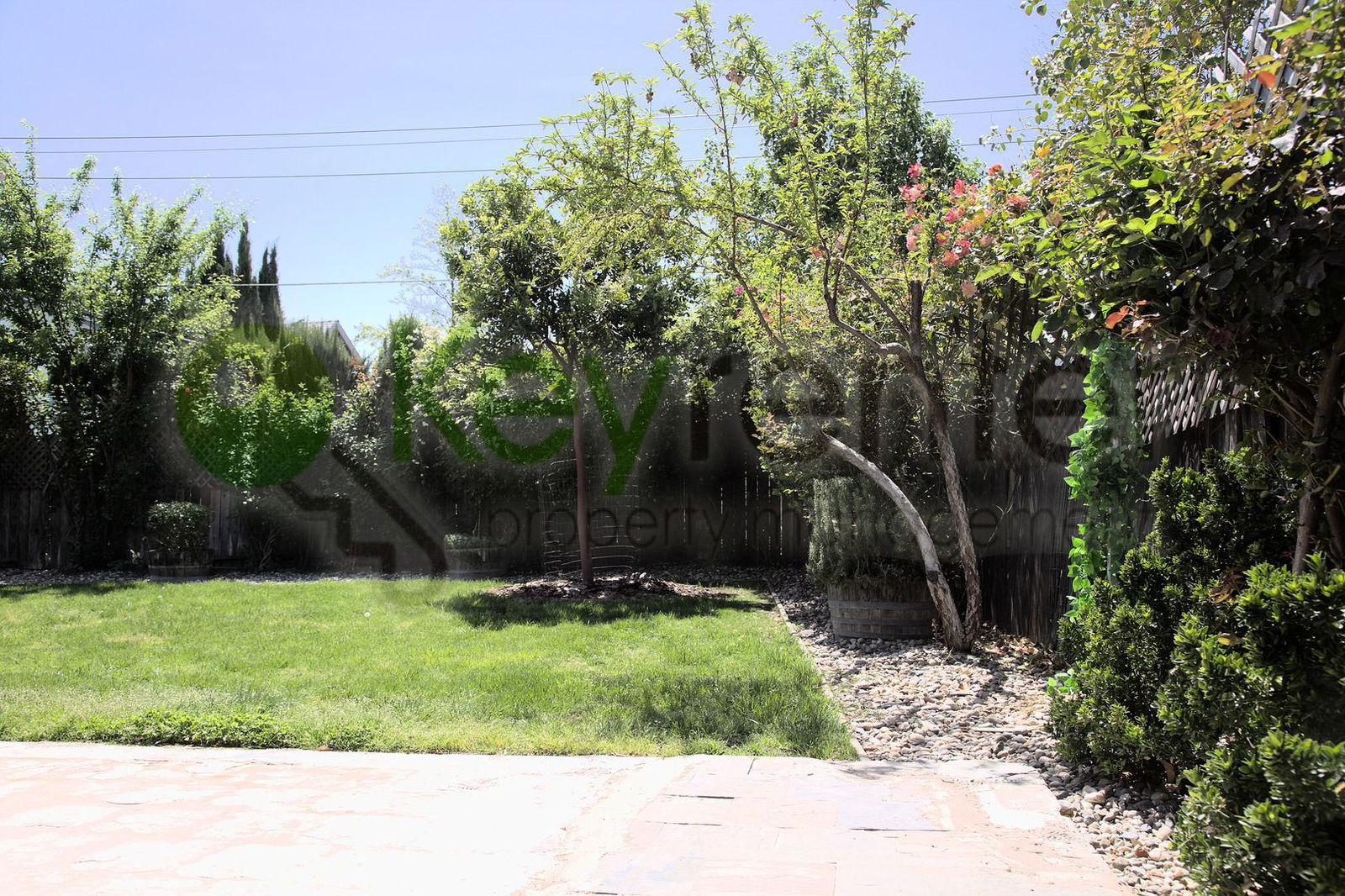 Gallery Image 22