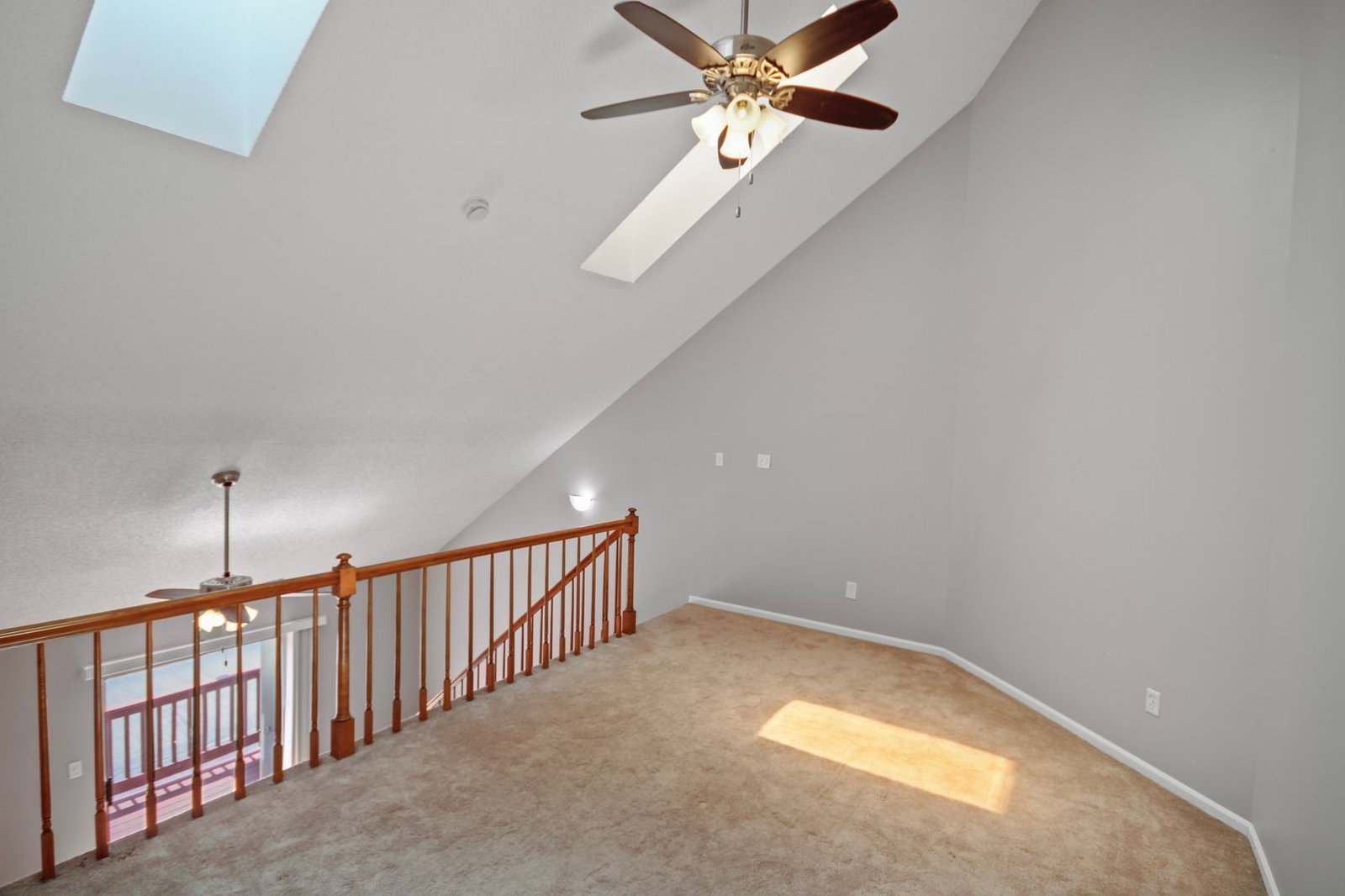 Gallery Image 14