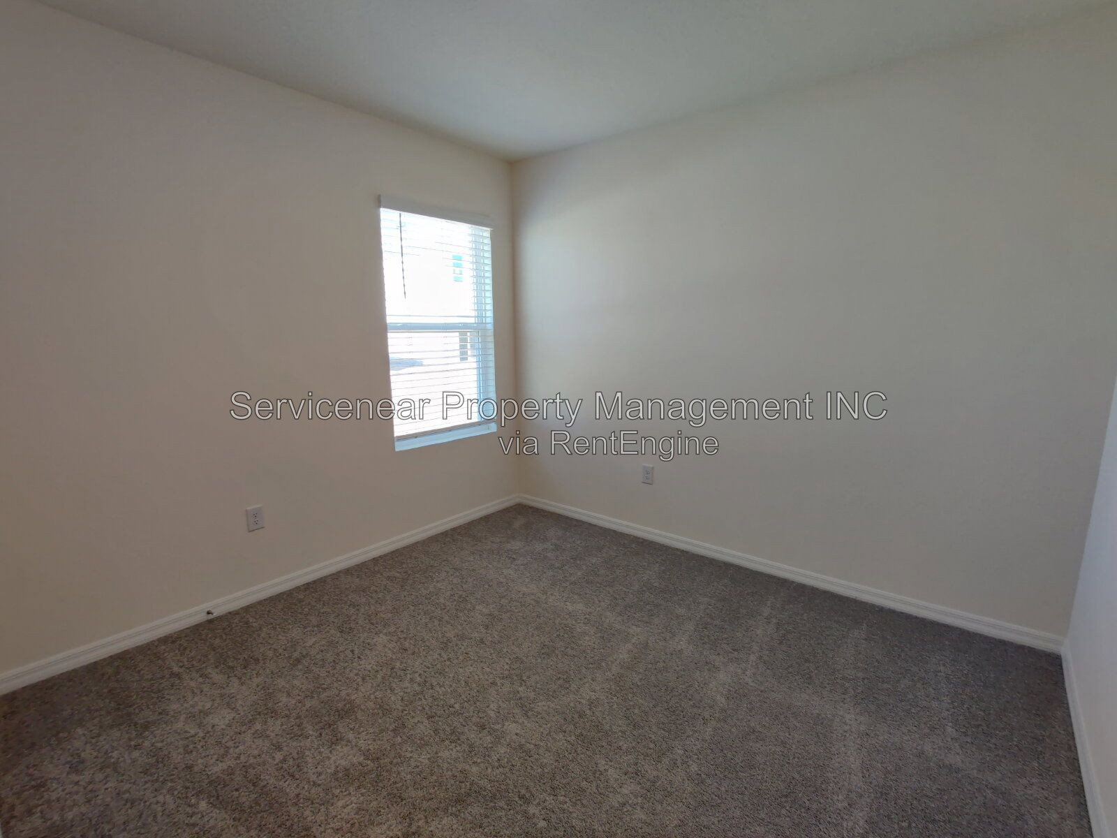 Gallery Image 18