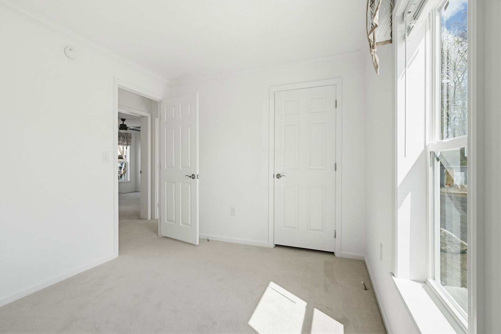 Gallery Image 15