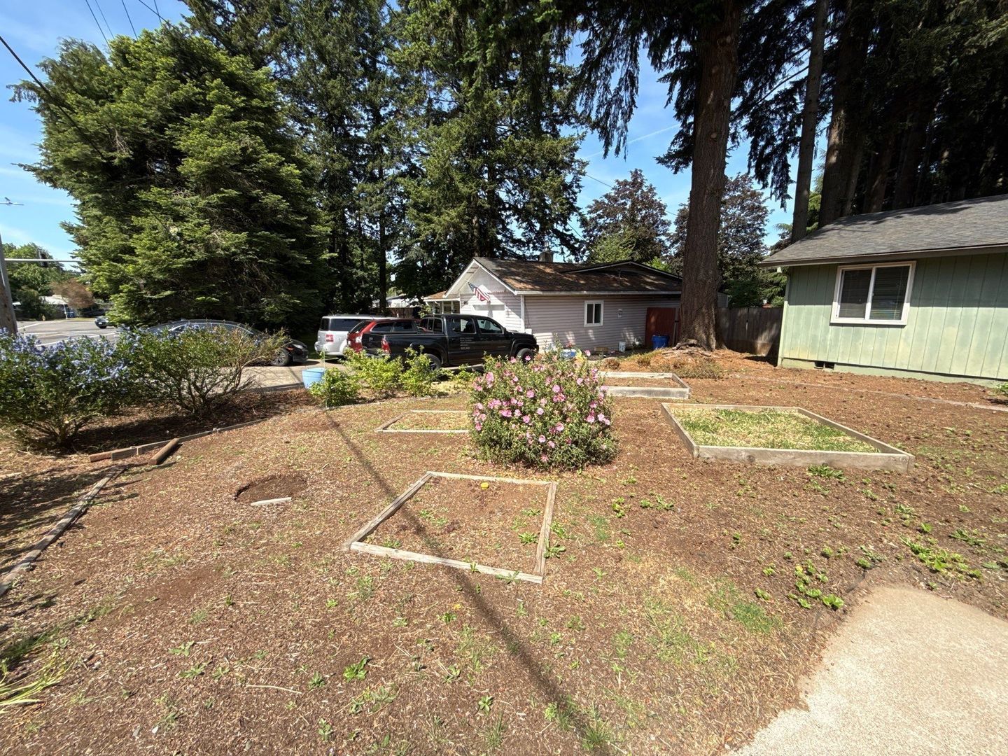 Gallery Image 17