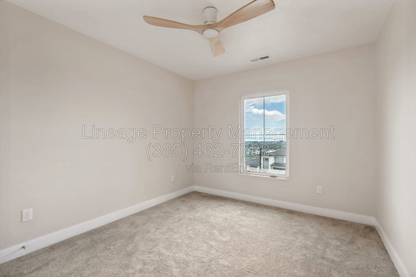 Gallery Image 26