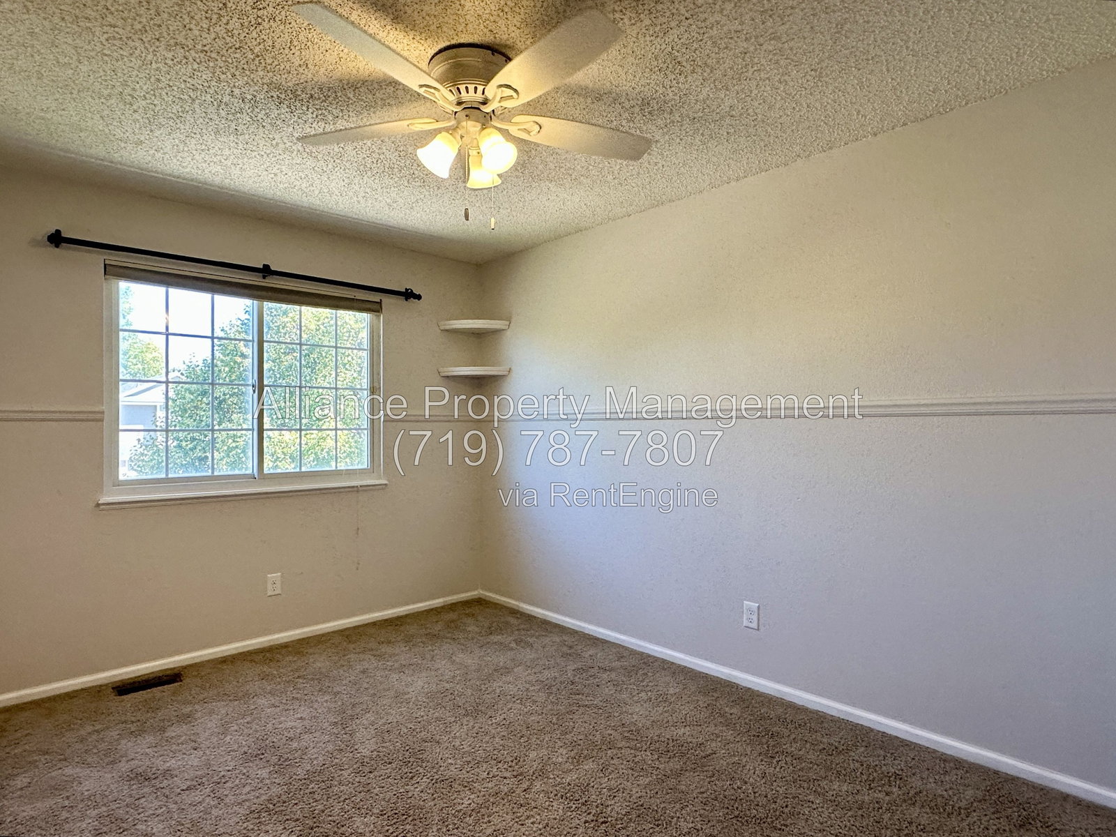 Gallery Image 32