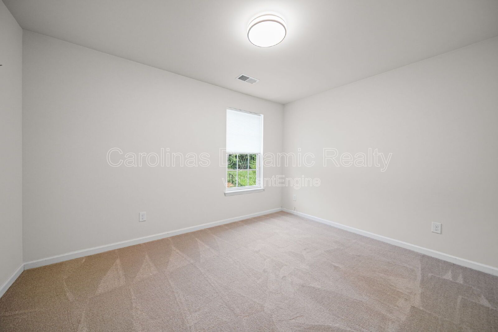 Gallery Image 20