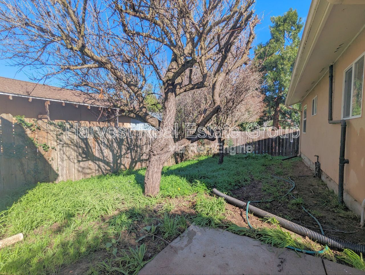 Gallery Image 16