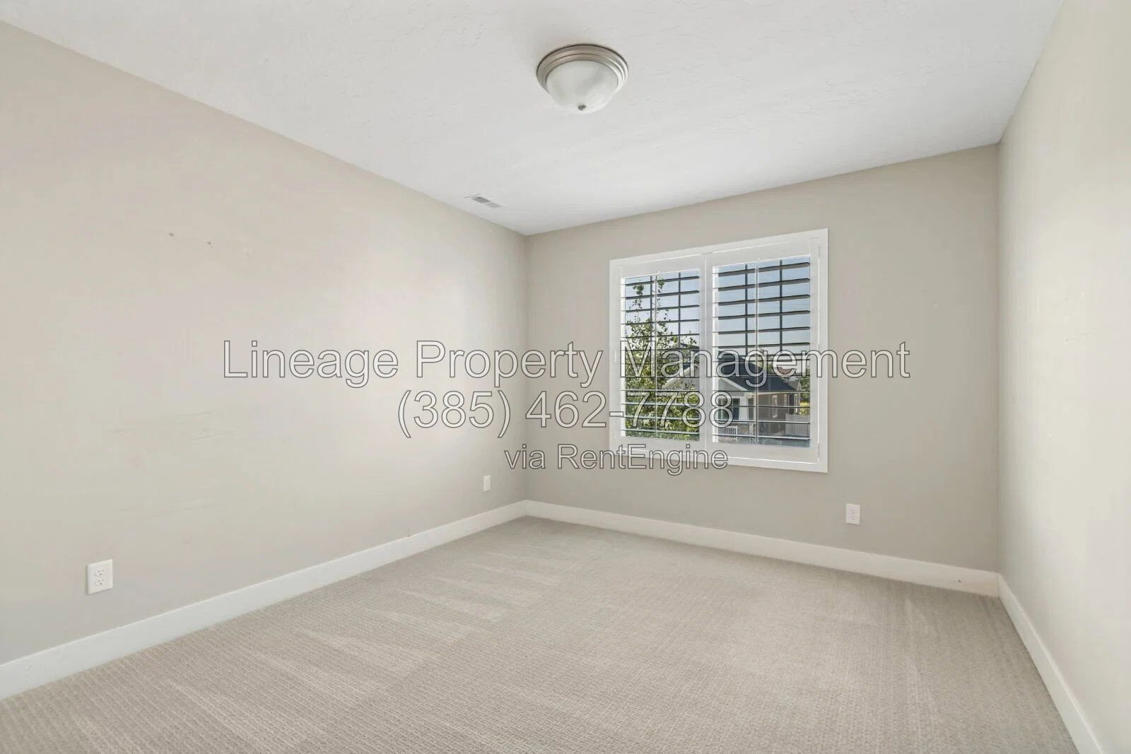 Gallery Image 21