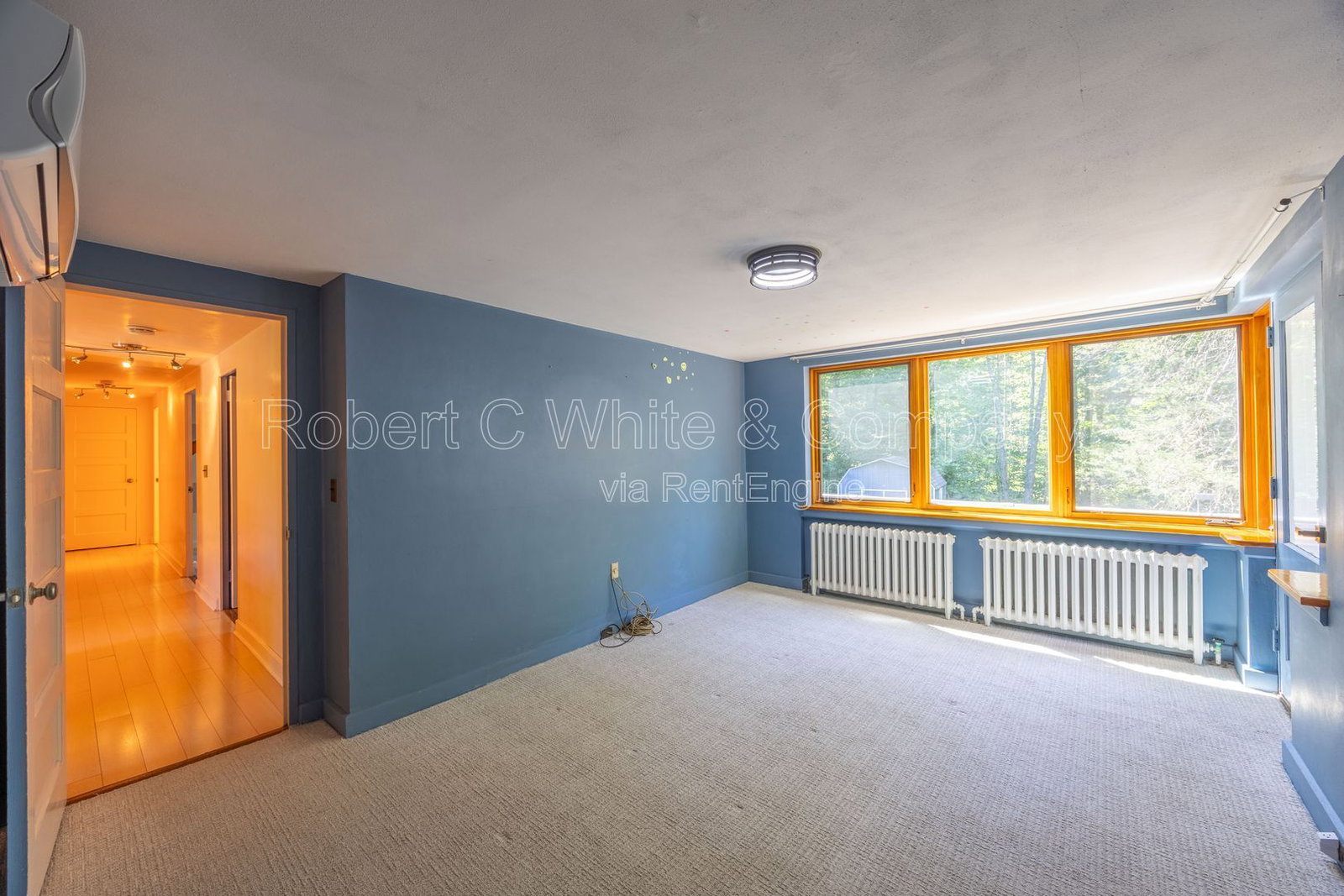Gallery Image 30