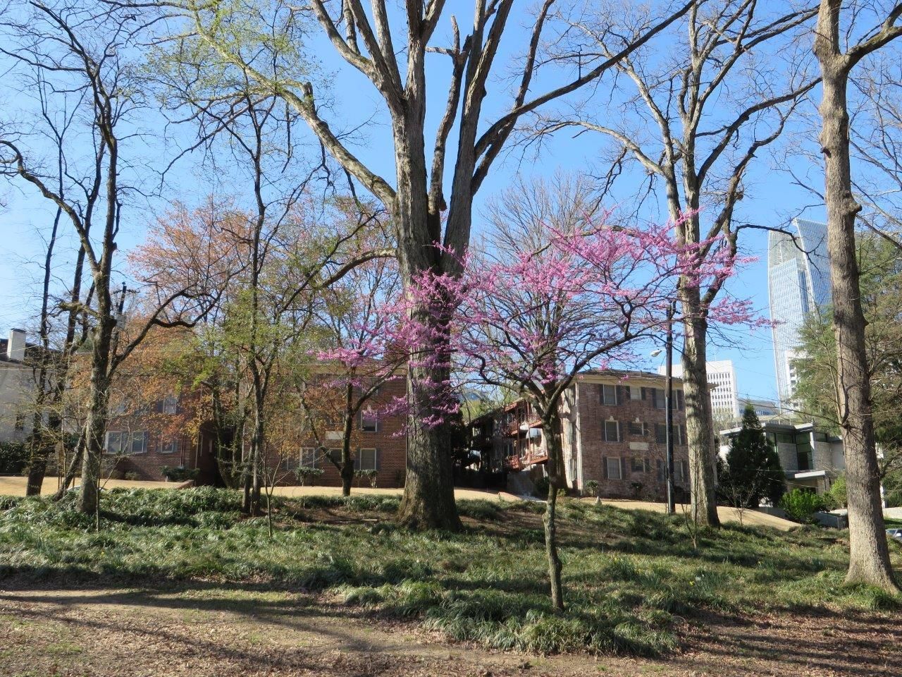 Gallery Image 11