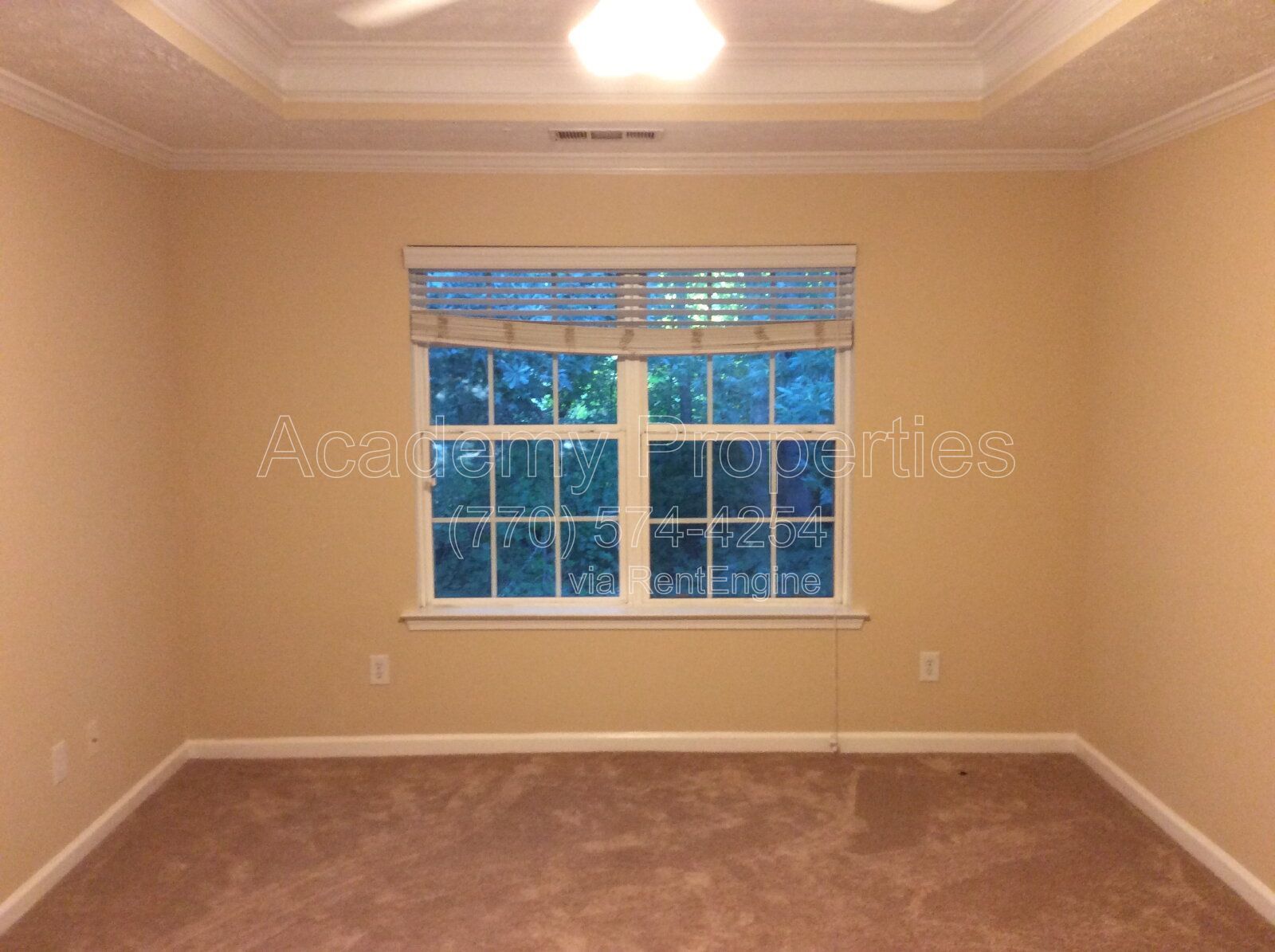 Gallery Image 15