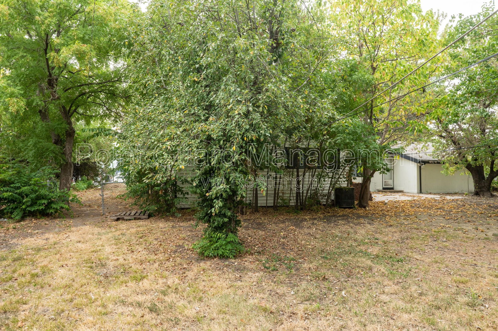 Gallery Image 38