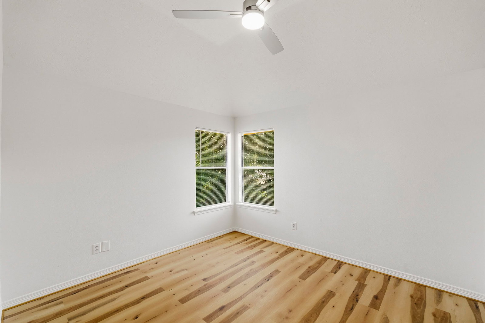 Gallery Image 19
