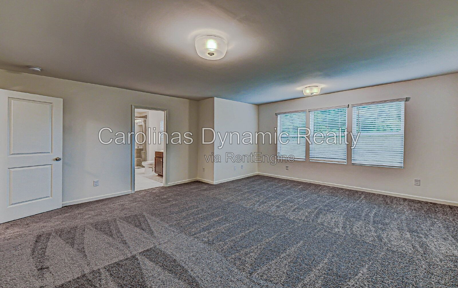 Gallery Image 19
