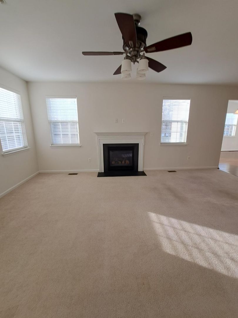 Gallery Image 16