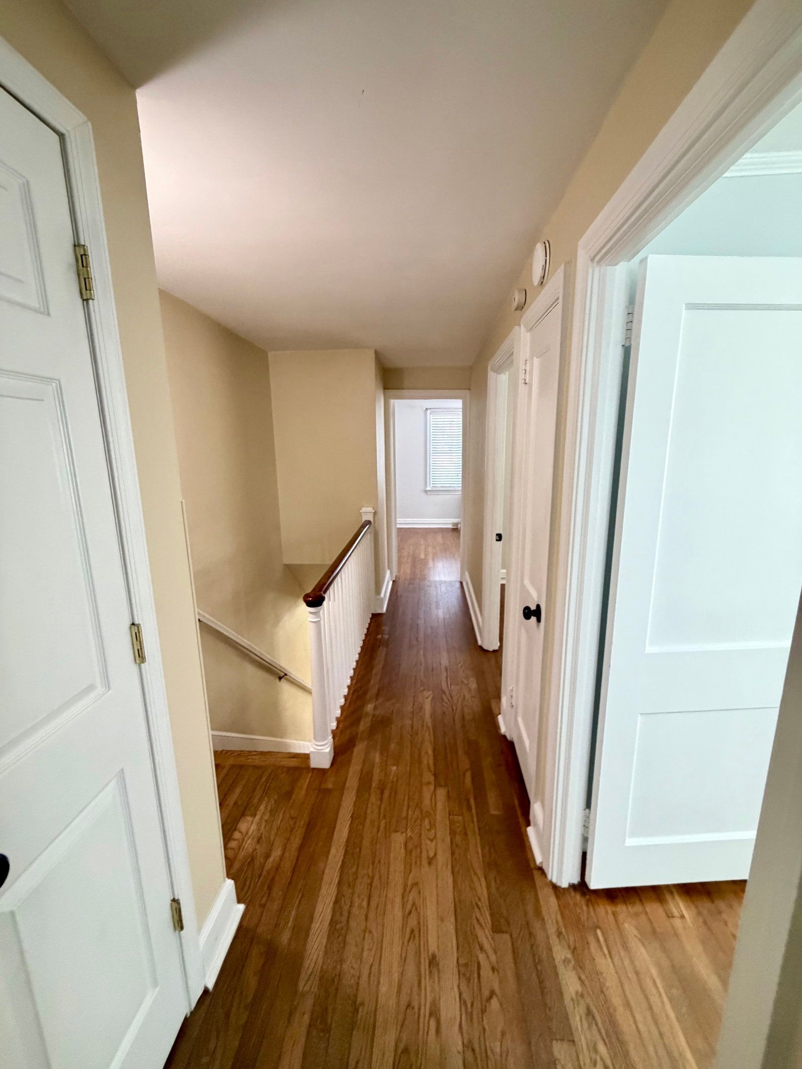 Gallery Image 15