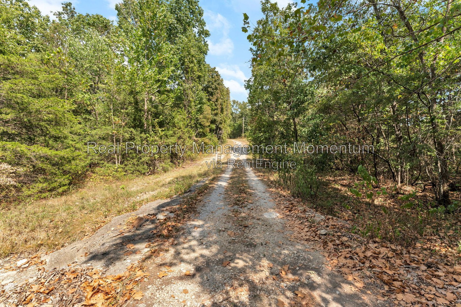 Gallery Image 45