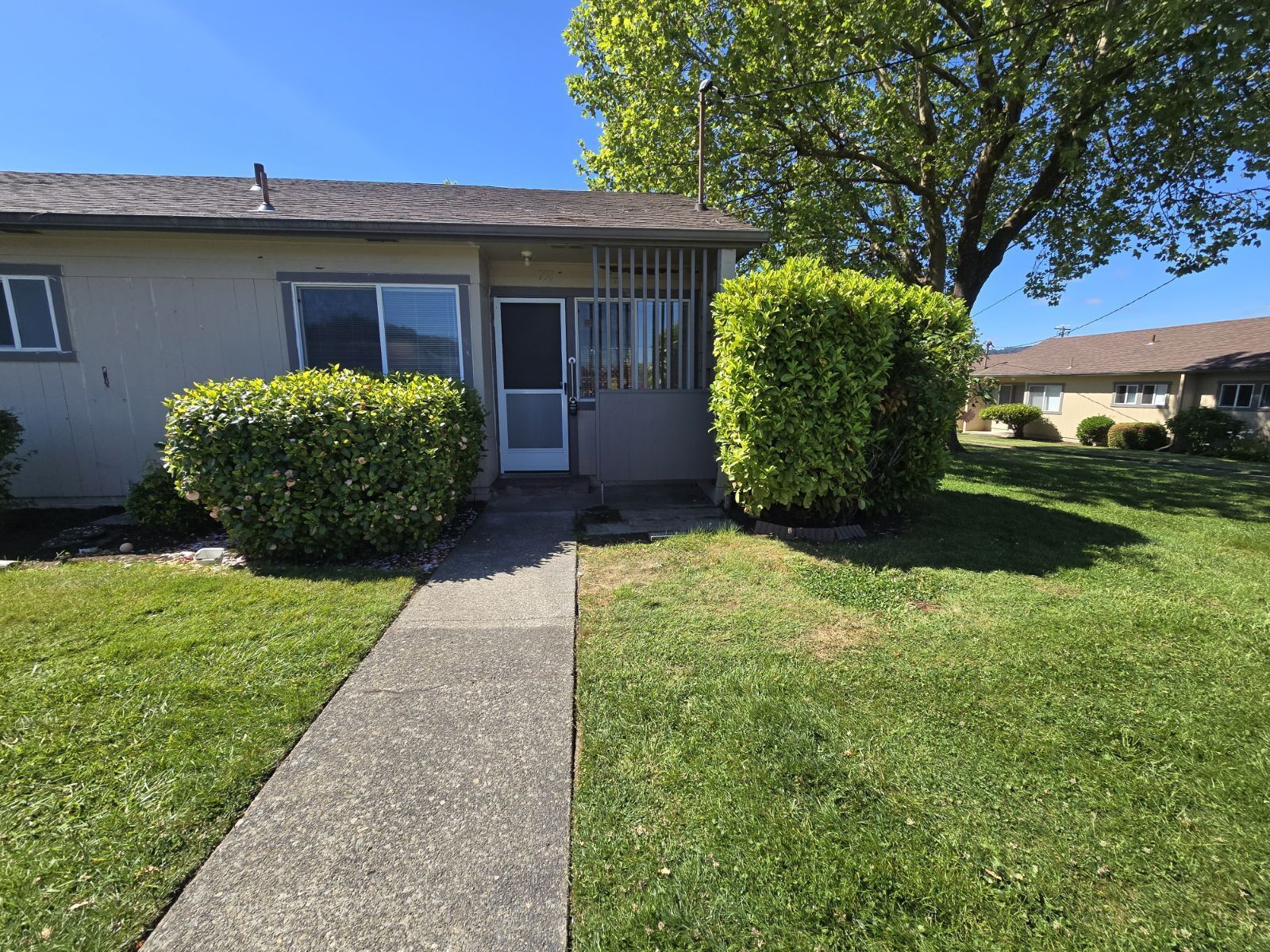 Gallery Image 15