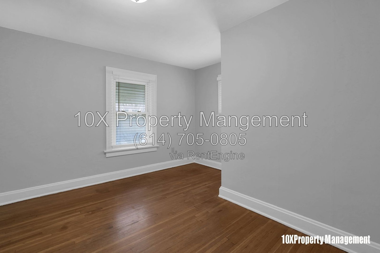 Gallery Image 19