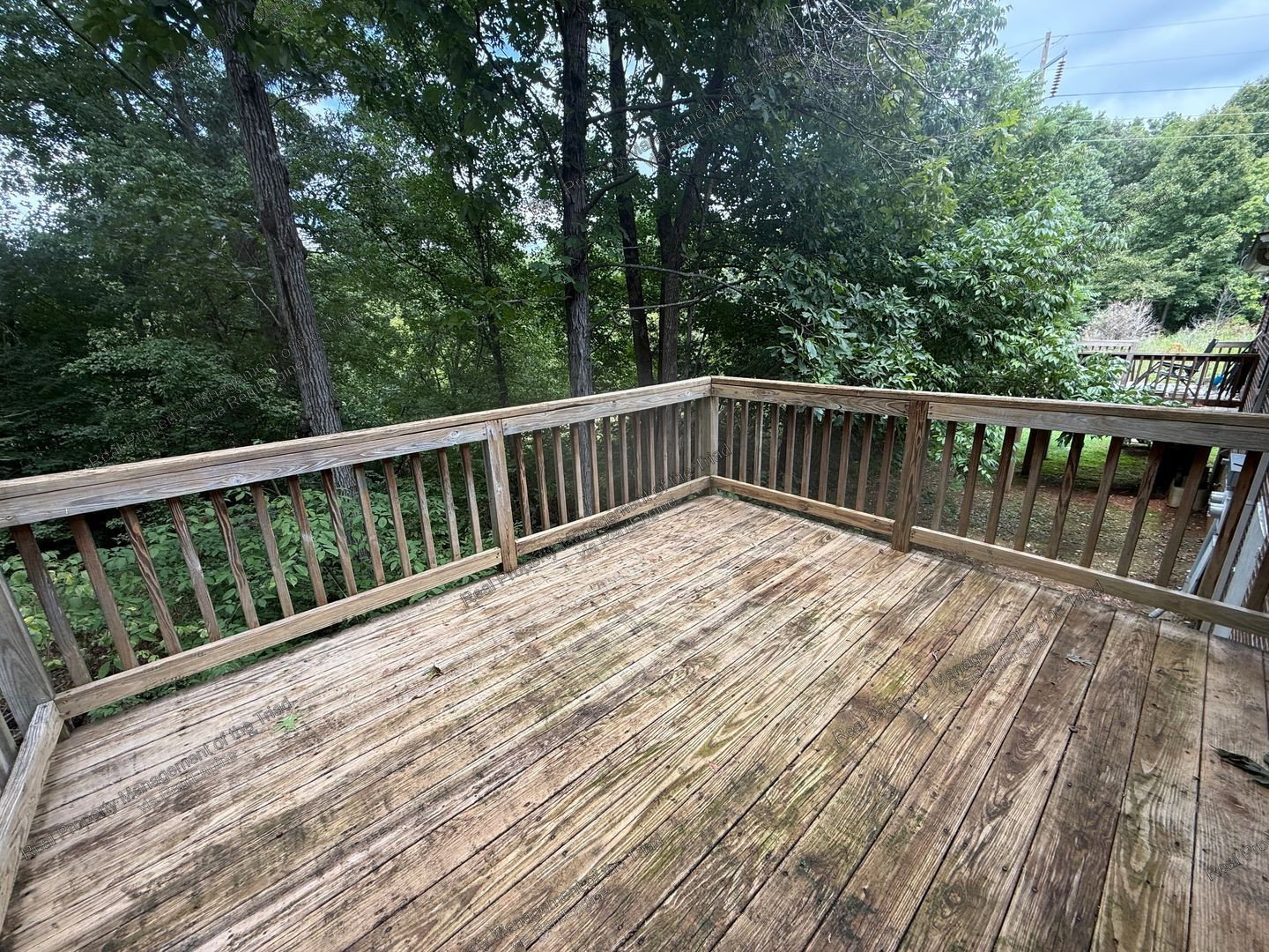 Gallery Image 7