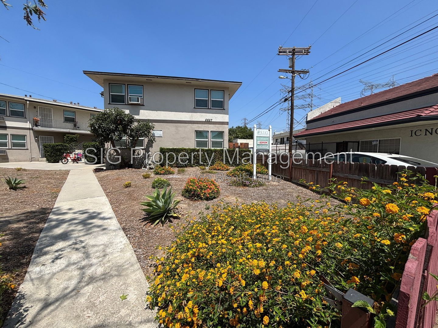 Gallery Image 15