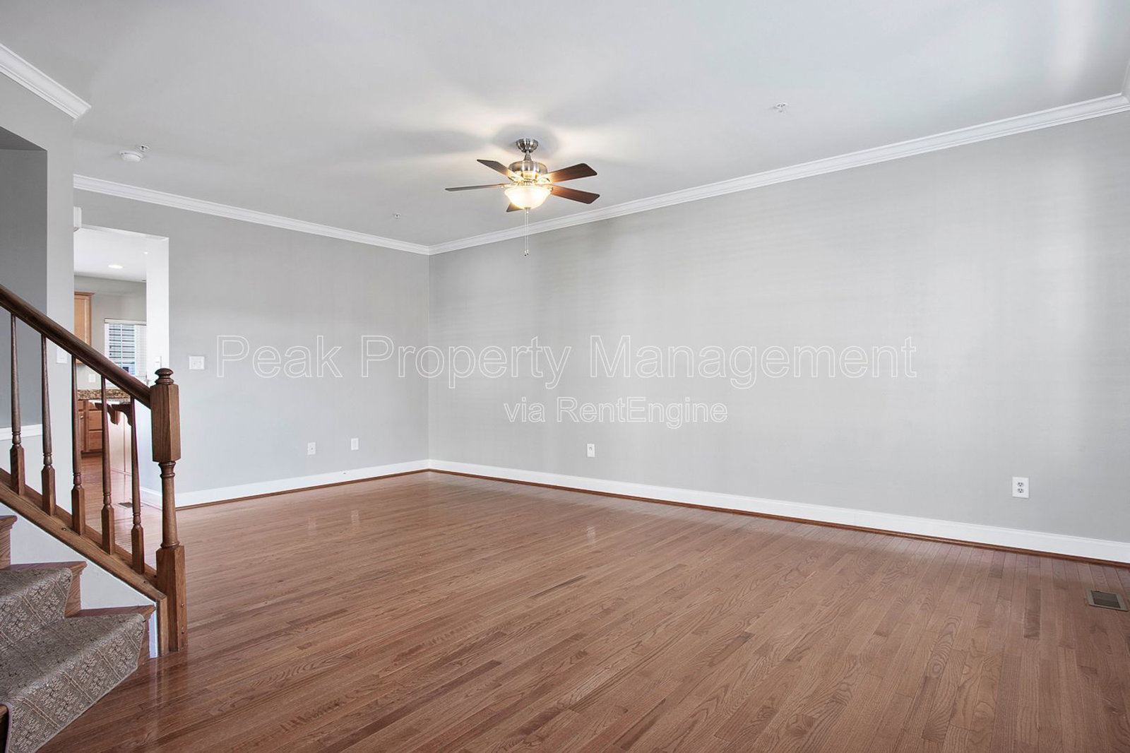 Gallery Image 14