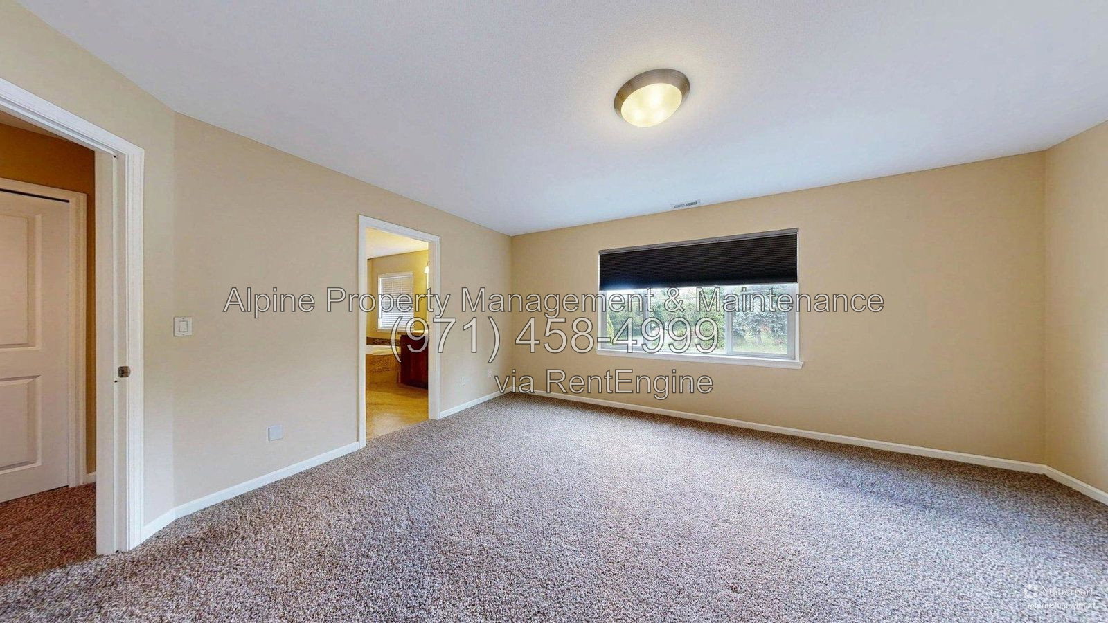 Gallery Image 47