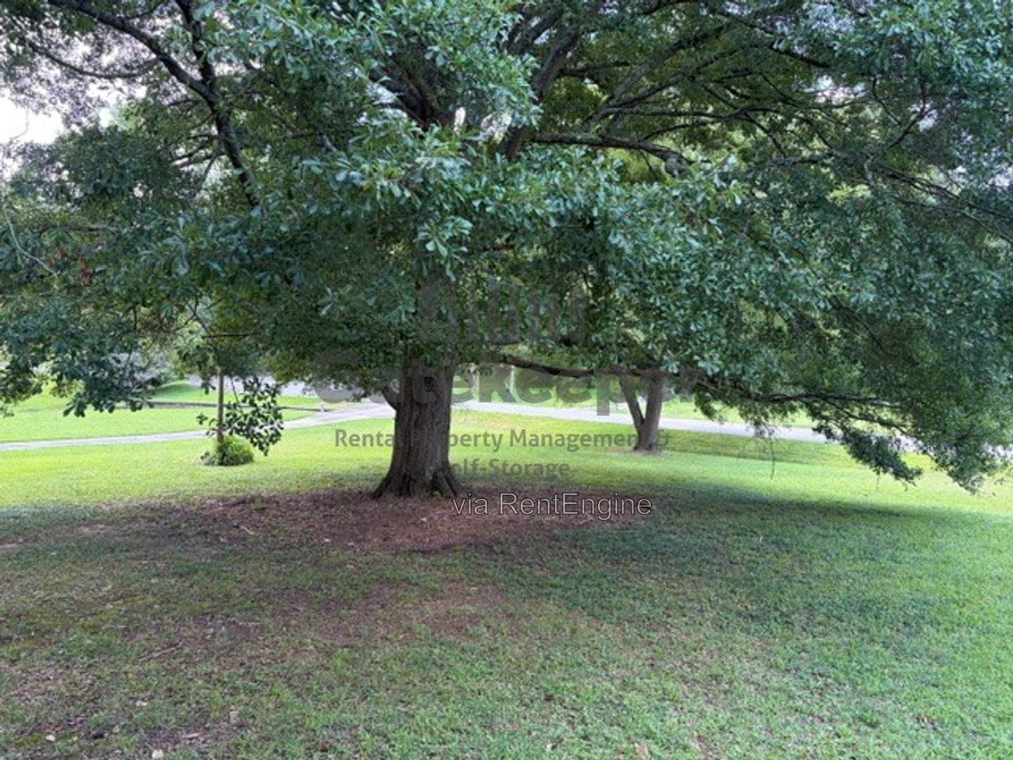 Gallery Image 15