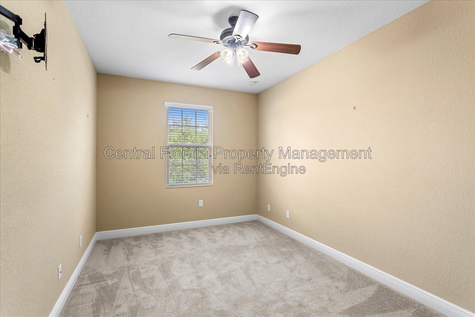 Gallery Image 19