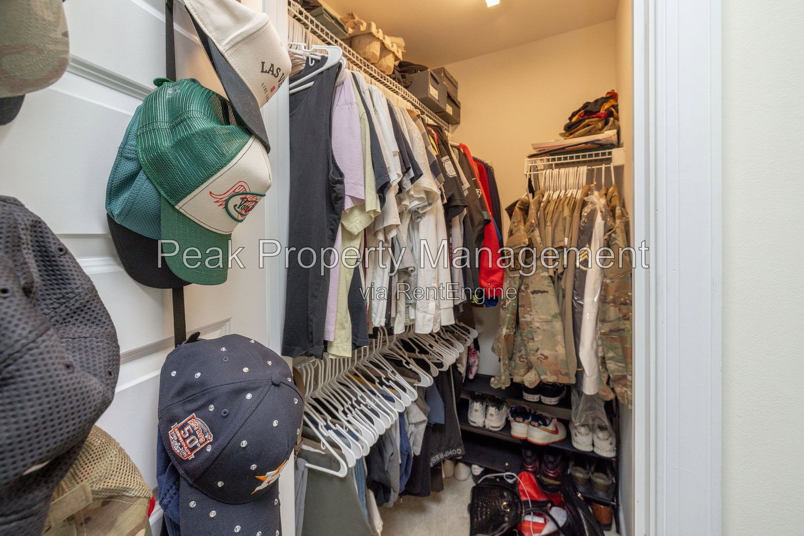 Gallery Image 29