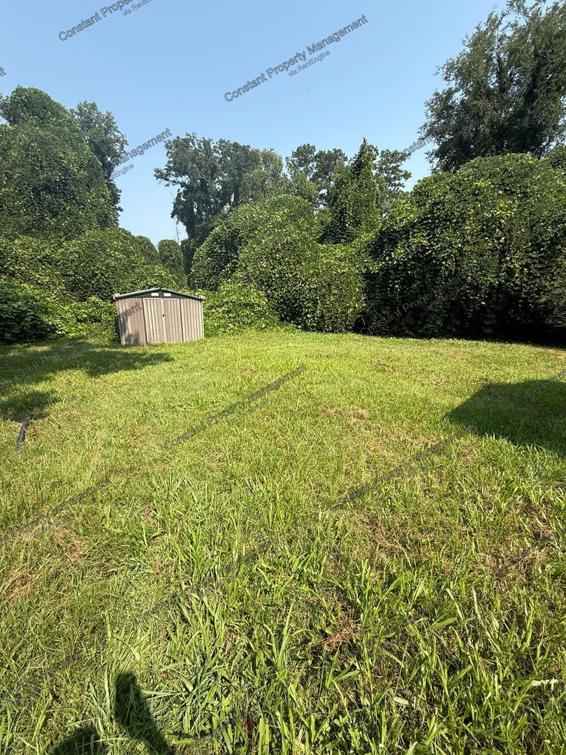 Gallery Image 12