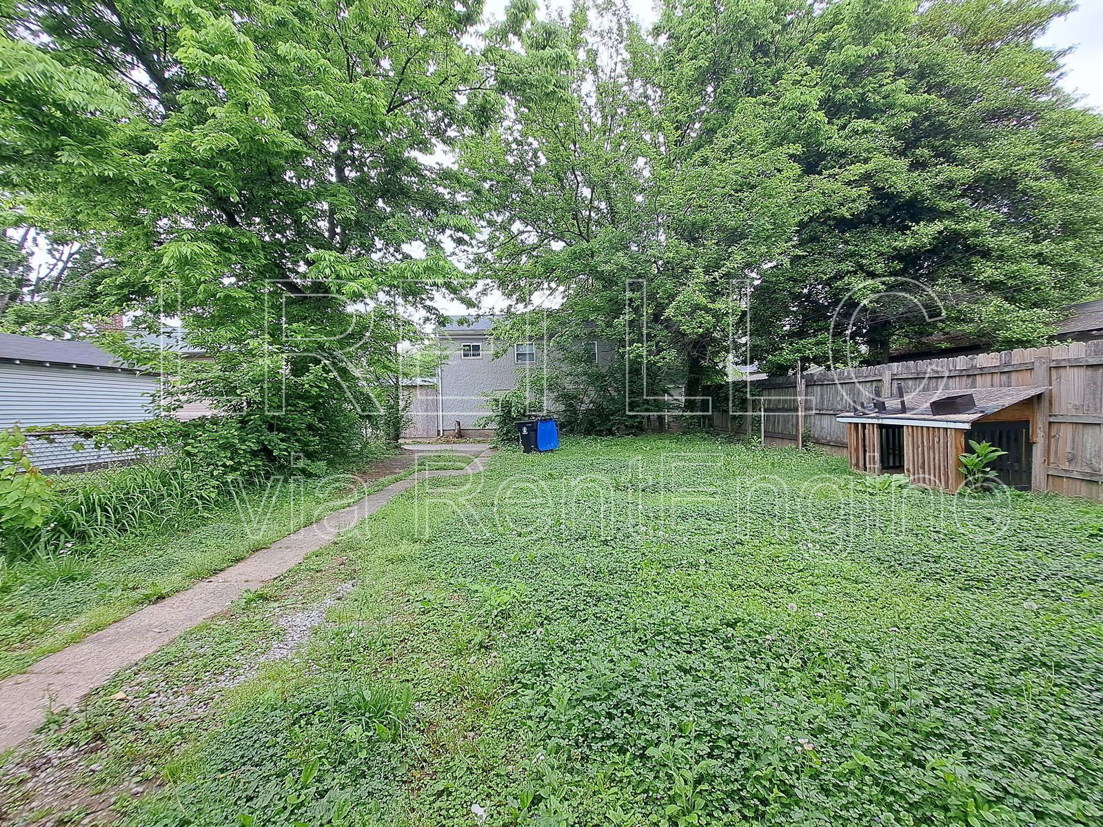 Gallery Image 14